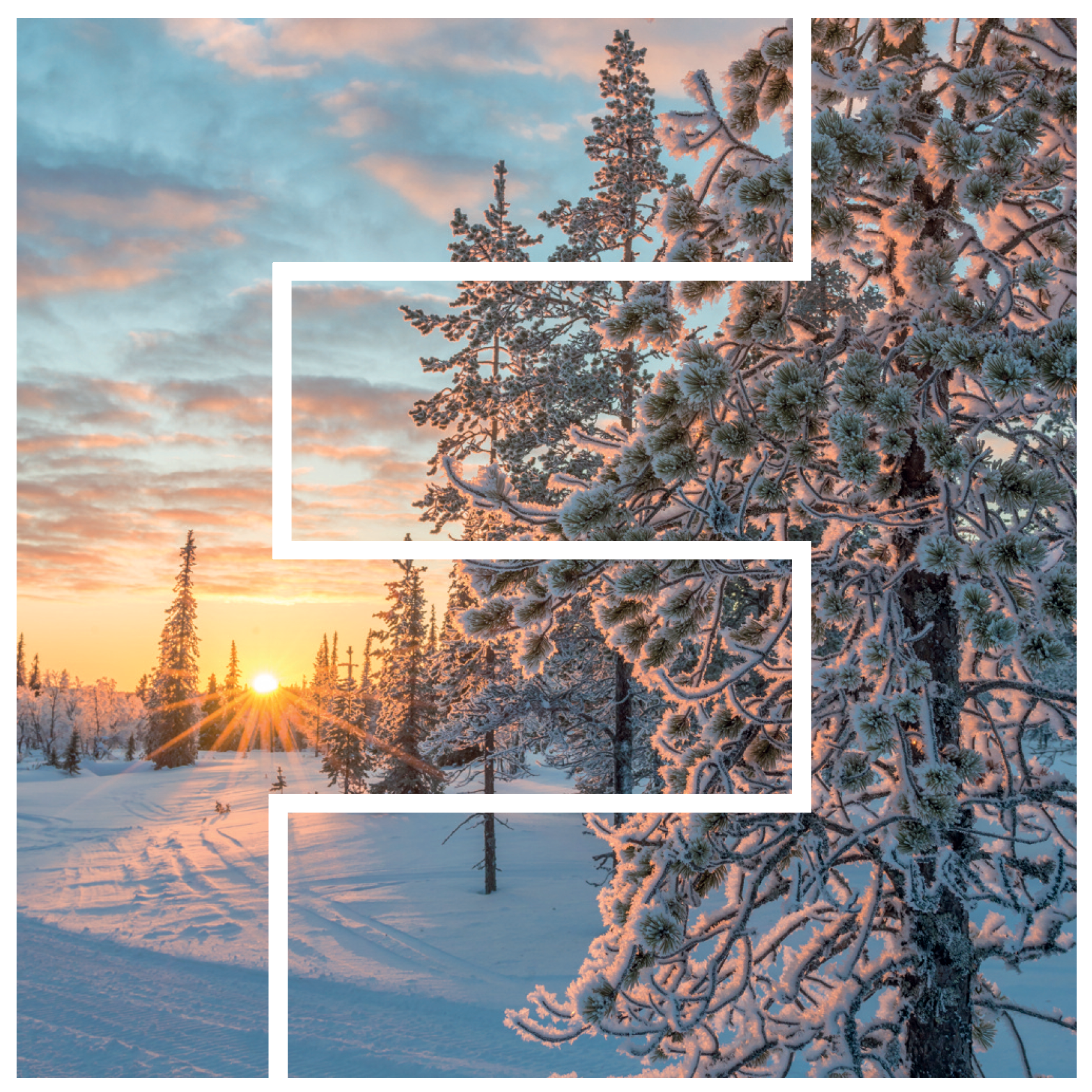 Du betrachtest gerade Wir wünschen frohe Weihnachten 2025